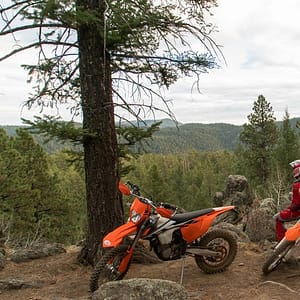 Riders stop to enjoy the forest view