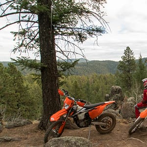 Riders stop to enjoy the forest view