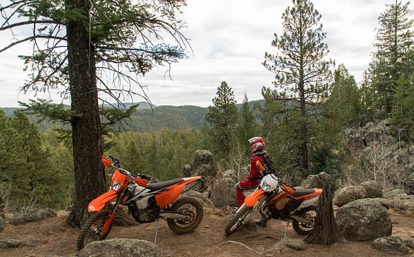 Riders stop to enjoy the forest view
